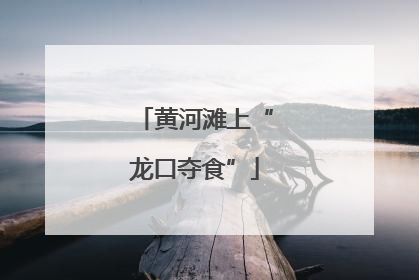 黄河滩上“龙口夺食”