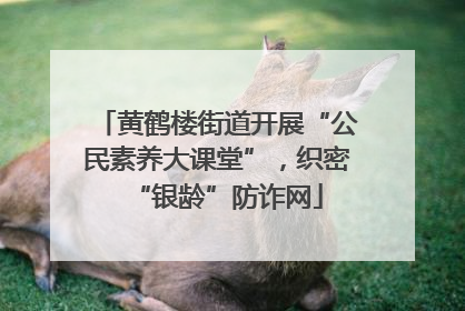 黄鹤楼街道开展“公民素养大课堂”，织密“银龄”防诈网