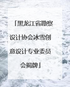 黑龙江省勘察设计协会冰雪创意设计专业委员会揭牌