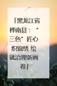 黑龙江省桦南县：“三色”匠心织锦绣 绘就治理新画卷