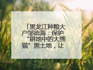 黑龙江种粮大户邹德海：保护“耕地中的大熊猫”黑土地，让增产可持续