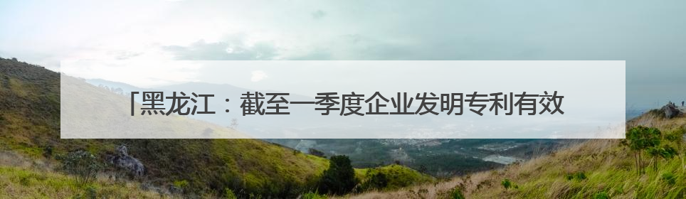 黑龙江：截至一季度企业发明专利有效量为1.8万件 同比增长10.6%