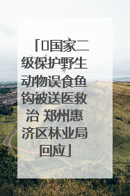 ﻿国家二级保护野生动物误食鱼钩被送医救治 郑州惠济区林业局回应