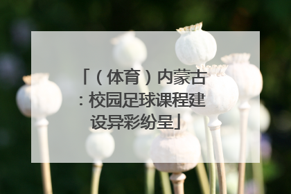 （体育）内蒙古：校园足球课程建设异彩纷呈