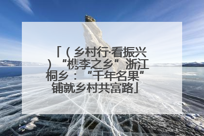 （乡村行·看振兴）“槜李之乡”浙江桐乡：“千年名果”铺就乡村共富路