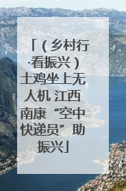 （乡村行·看振兴）土鸡坐上无人机 江西南康“空中快递员”助振兴