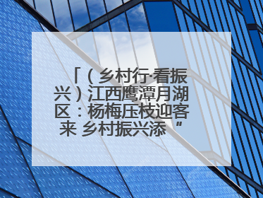 （乡村行·看振兴）江西鹰潭月湖区：杨梅压枝迎客来 乡村振兴添“梅”景