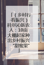 （乡村行·看振兴）科尔沁新农人：10亩大棚起家种出乡村振兴“甜蜜果”
