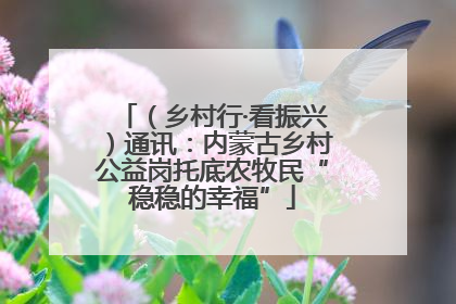 （乡村行·看振兴）通讯：内蒙古乡村公益岗托底农牧民“稳稳的幸福”