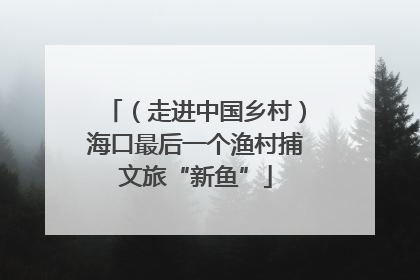 （走进中国乡村）海口最后一个渔村捕文旅“新鱼”