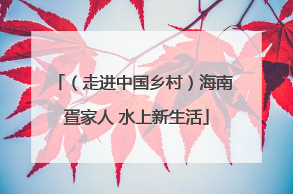 （走进中国乡村）海南疍家人 水上新生活