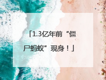 1.3亿年前“僵尸蚂蚁”现身！