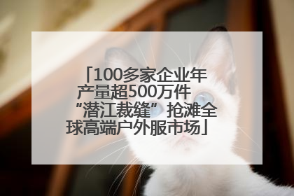 100多家企业年产量超500万件 “潜江裁缝”抢滩全球高端户外服市场