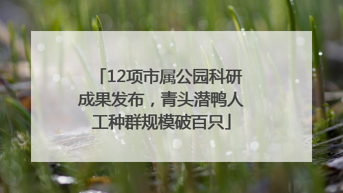 12项市属公园科研成果发布，青头潜鸭人工种群规模破百只