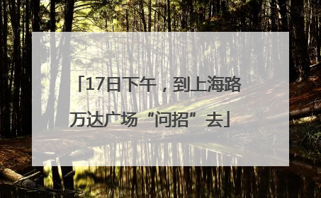 17日下午，到上海路万达广场“问招”去