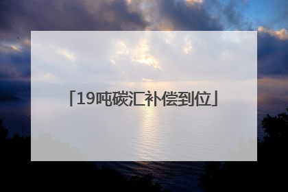 19吨碳汇补偿到位