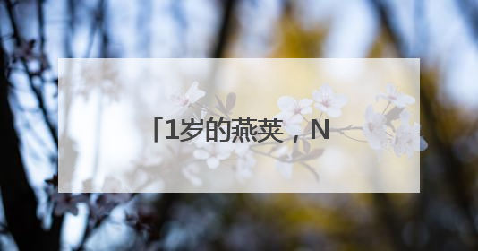 1岁的燕荚，N 倍的宠爱！燕荚周年“荚”年华狂欢攻略大公开
