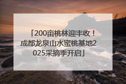 200亩桃林迎丰收！成都龙泉山水蜜桃基地2025采摘季开启