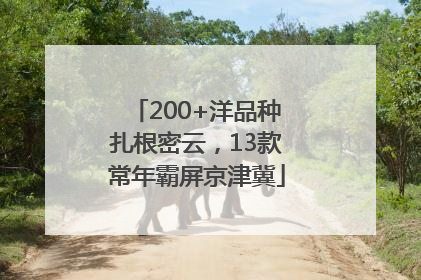 200+洋品种扎根密云，13款常年霸屏京津冀