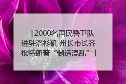 2000名国民警卫队进驻洛杉矶 州长市长齐批特朗普“制造混乱”