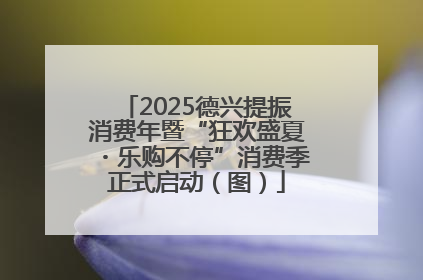 2025德兴提振消费年暨“狂欢盛夏・乐购不停”消费季正式启动（图）