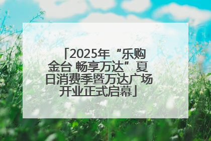 2025年“乐购金台 畅享万达”夏日消费季暨万达广场开业正式启幕