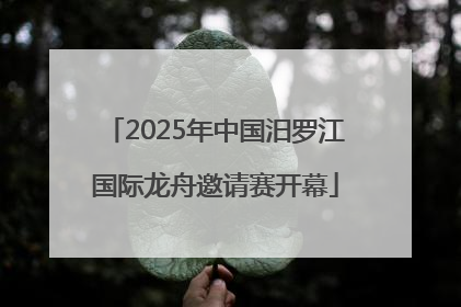 2025年中国汨罗江国际龙舟邀请赛开幕