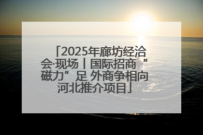 2025年廊坊经洽会·现场丨国际招商“磁力”足 外商争相向河北推介项目