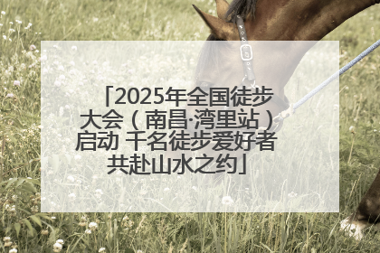 2025年全国徒步大会（南昌·湾里站）启动 千名徒步爱好者共赴山水之约