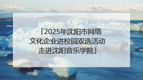 2025年沈阳市网络文化企业进校园双选活动走进沈阳音乐学院
