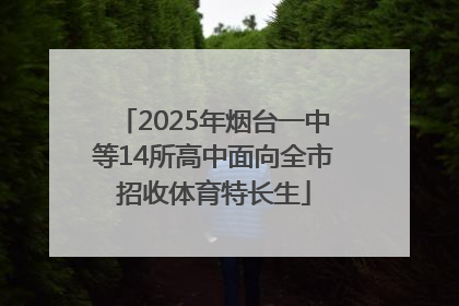 2025年烟台一中等14所高中面向全市招收体育特长生