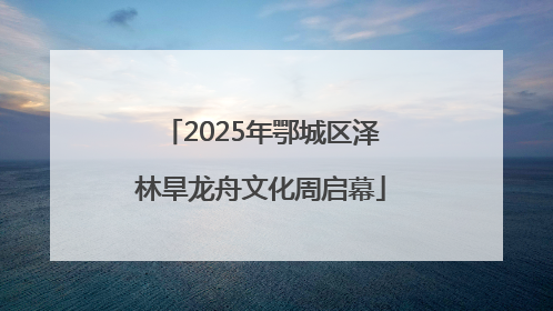 2025年鄂城区泽林旱龙舟文化周启幕