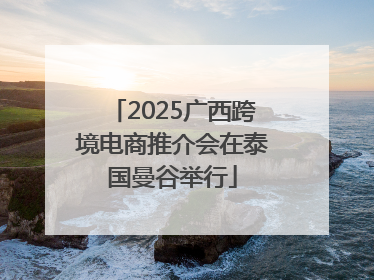 2025广西跨境电商推介会在泰国曼谷举行