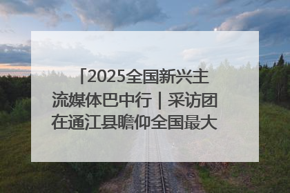 2025全国新兴主流媒体巴中行｜采访团在通江县瞻仰全国最大红军烈士陵园