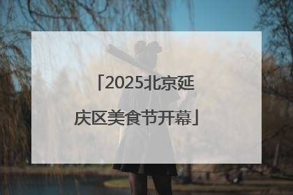 2025北京延庆区美食节开幕