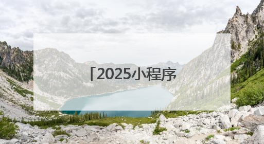 2025小程序商城开发公司排名，盘点优质的小程序商城开发公司