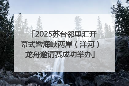 2025苏台邻里汇开幕式暨海峡两岸（洋河）龙舟邀请赛成功举办