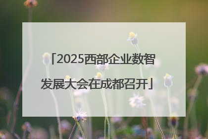 2025西部企业数智发展大会在成都召开