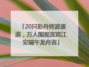 20只彩舟劈波逐浪，万人围观宜宾江安端午龙舟赛