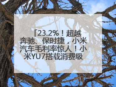 23.2%！超越奔驰、保时捷，小米汽车毛利率惊人！小米YU7搭载消费级芯片惹争议