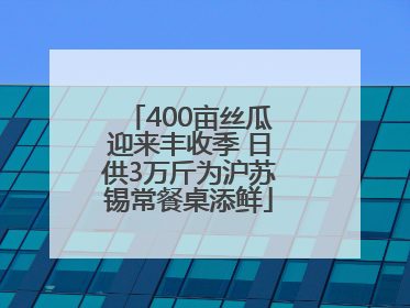 400亩丝瓜迎来丰收季 日供3万斤为沪苏锡常餐桌添鲜