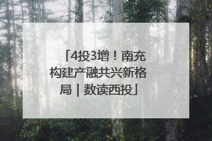 4投3增！南充构建产融共兴新格局｜数读西投