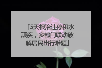 5天根治违停积水顽疾，多部门联动破解居民出行难题