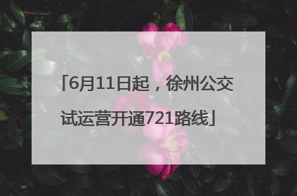 6月11日起，徐州公交试运营开通721路线