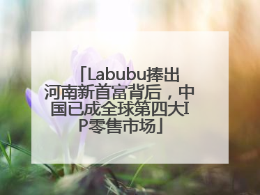 Labubu捧出河南新首富背后，中国已成全球第四大IP零售市场