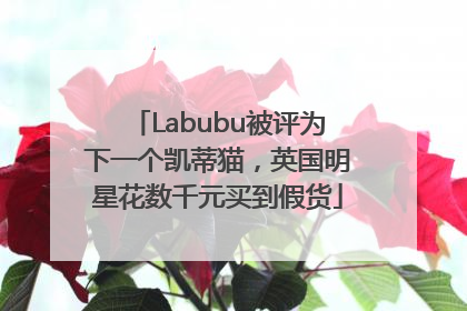 Labubu被评为下一个凯蒂猫，英国明星花数千元买到假货