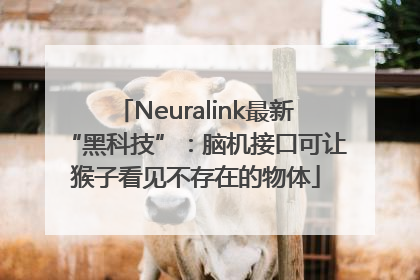 Neuralink最新“黑科技”：脑机接口可让猴子看见不存在的物体